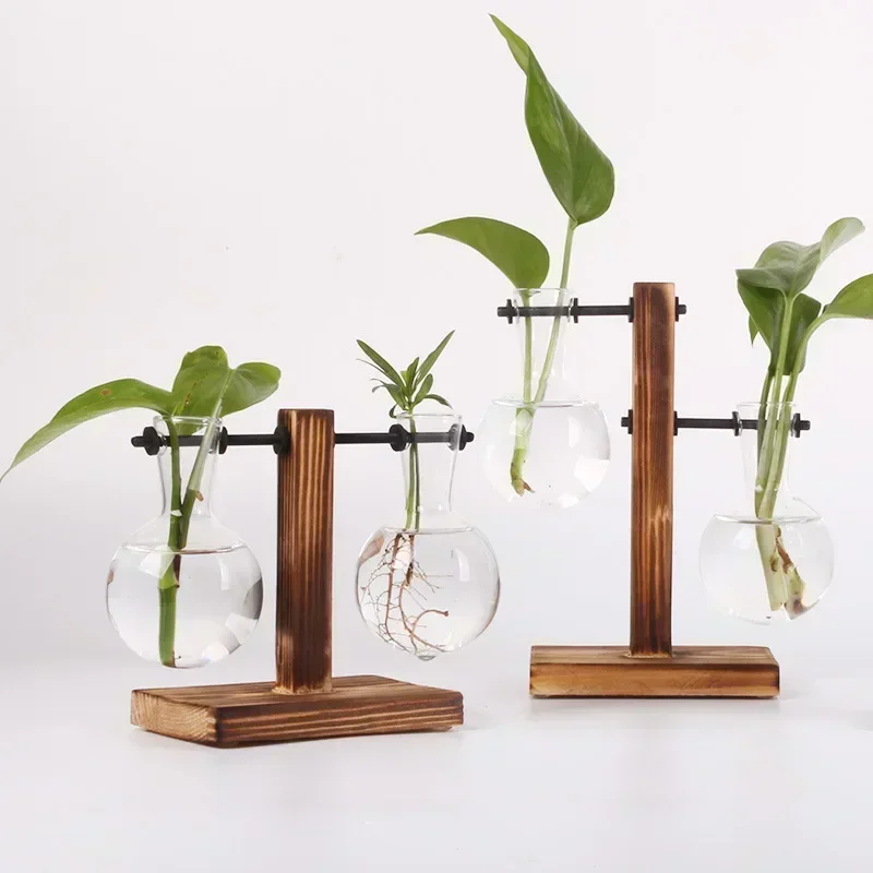 Plante hydroponique Terrarium Vasevase décoration maison bouteille en verre hydroponique décoration de bureau bureau plante verte petit pot